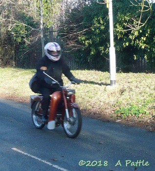 Mince Pie Run in Shotley
