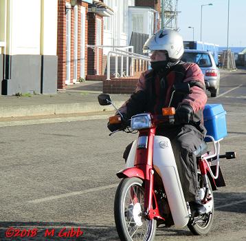 Mince Pie Run in Shotley