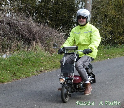 Duloe Daffodil Dash