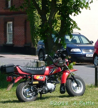 East Anglian Run at Fair Green, Diss