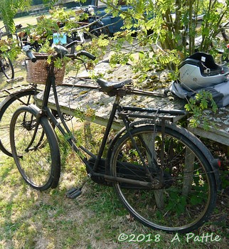 Classics at Horham