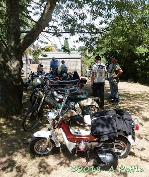 Peninsularis Run at the Maybush