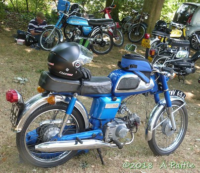 Peninsularis Run at the Maybush