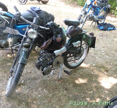 Peninsularis Run at the Maybush