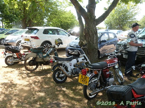 Peninsularis Run at the Maybush