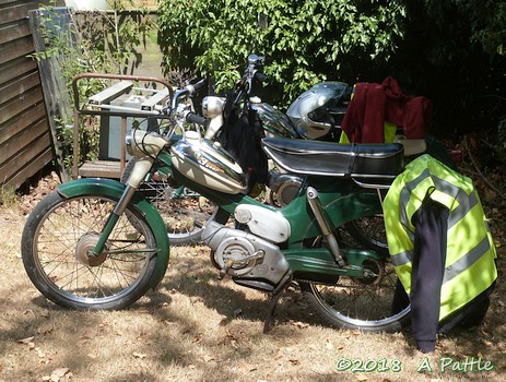 Peninsularis Run at the Maybush