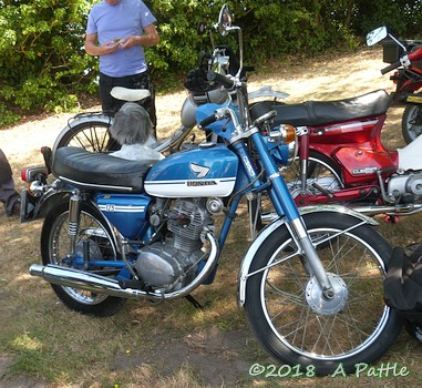 Peninsularis Run at the Maybush