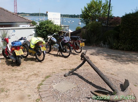 Peninsularis Run at the Maybush