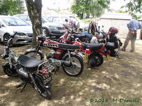 Peninsularis Run at the Maybush