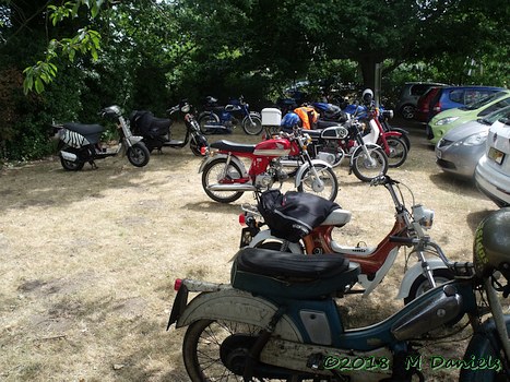Peninsularis Run at the Maybush