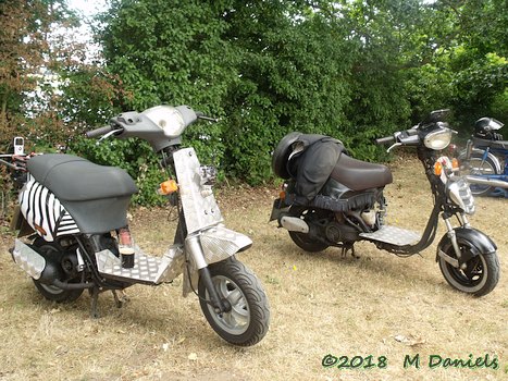 Peninsularis Run at the Maybush