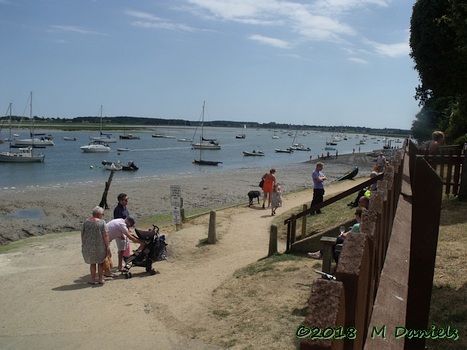 Peninsularis Run at the Maybush
