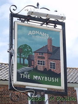 Peninsularis Run at the Maybush