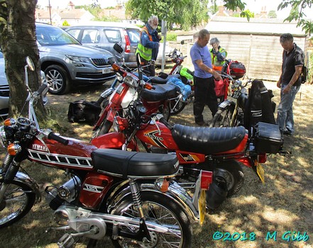 Peninsularis Run at the Maybush