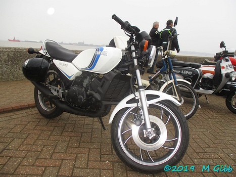 EACC Mince Pie Run at Shotley Shipwreck