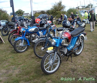 Coprolite Run at Felixstowe