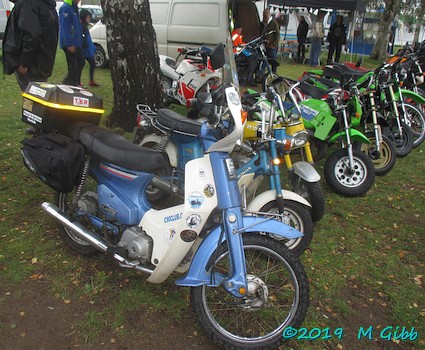 Around the jumble at Copdock Show