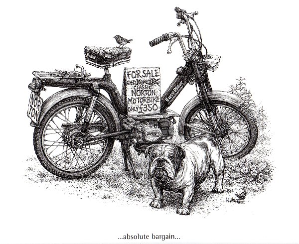 NVT Easy Rider drawing