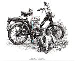 NVT Easy Rider - click for full size picture