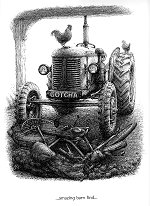 Phillips Panda - click for full size picture
